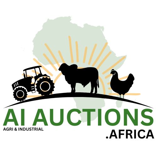 AI AUCTIONS